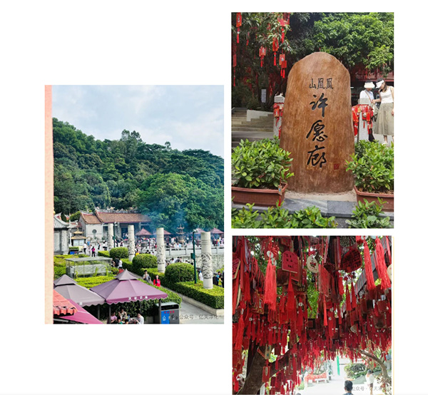 登山團(tuán)建丨攜手共進(jìn)&nbsp; 勇攀高峰