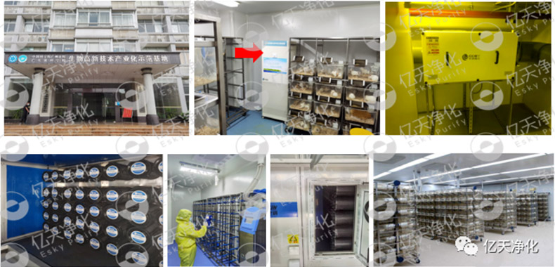 動物實驗室難聞的惡臭異味有哪些危害？如何去除？——動物實驗室去除臭味異味空氣質(zhì)量控制方案